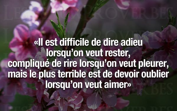 Il est difficile de dire adieu lorsquâ€™on veut rester, compliquÃ© de ...