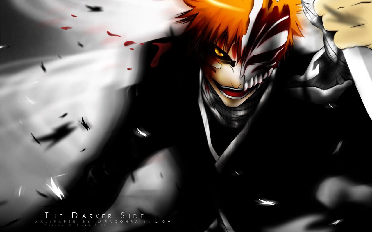 Bleach Ichiho Hollow