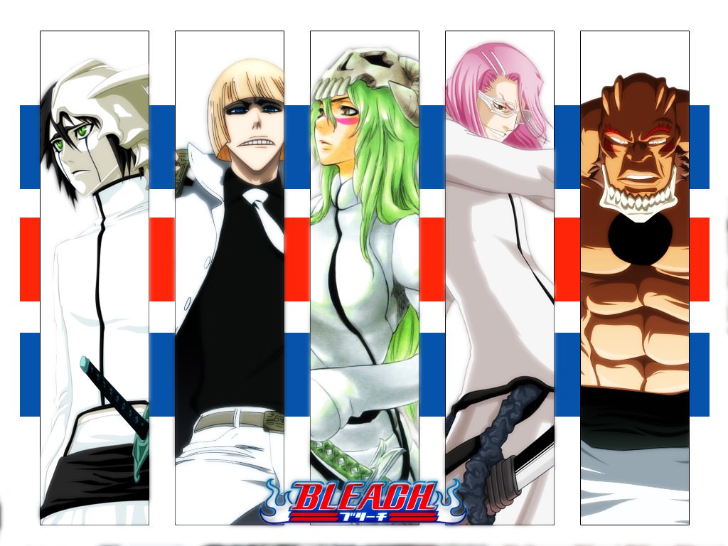 Bleach Arancars & Vizards