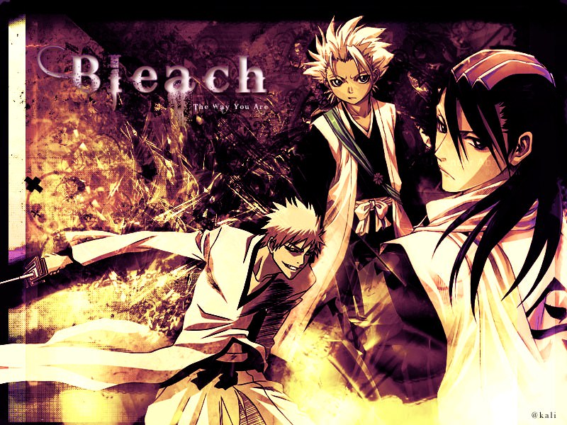 Bleach Bleach - The way you are