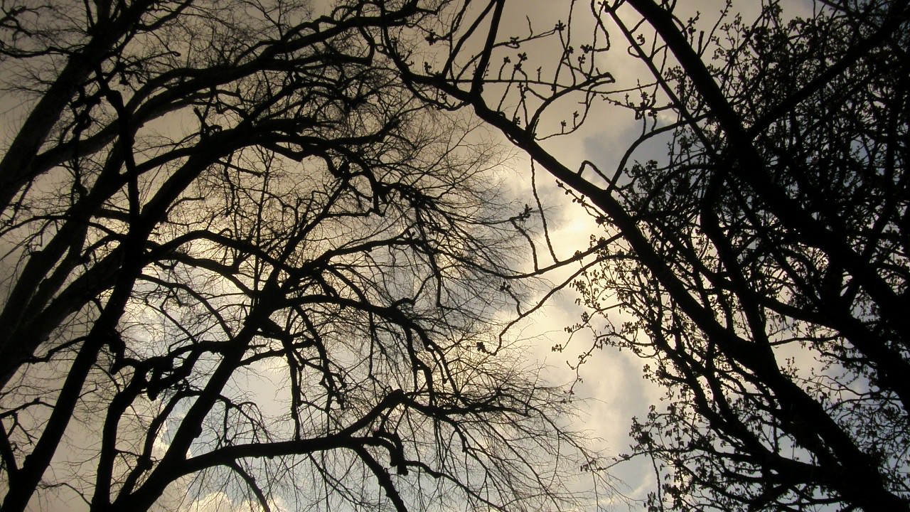 Ciel et Nuages le soleil tente de traverser...mais en vain