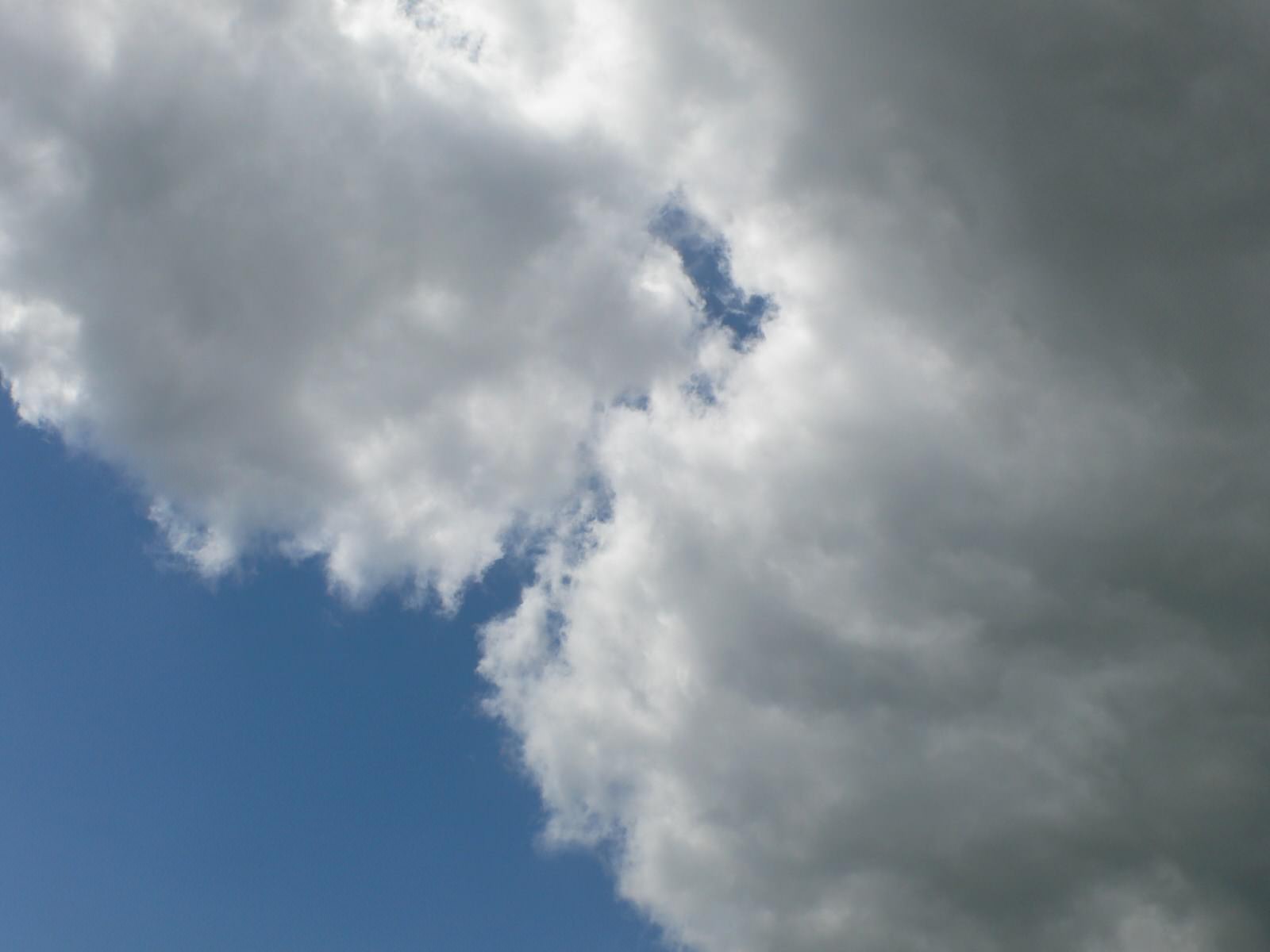 Ciel et Nuages Qui gagnera : le bleu, le gris ou le blanc ?