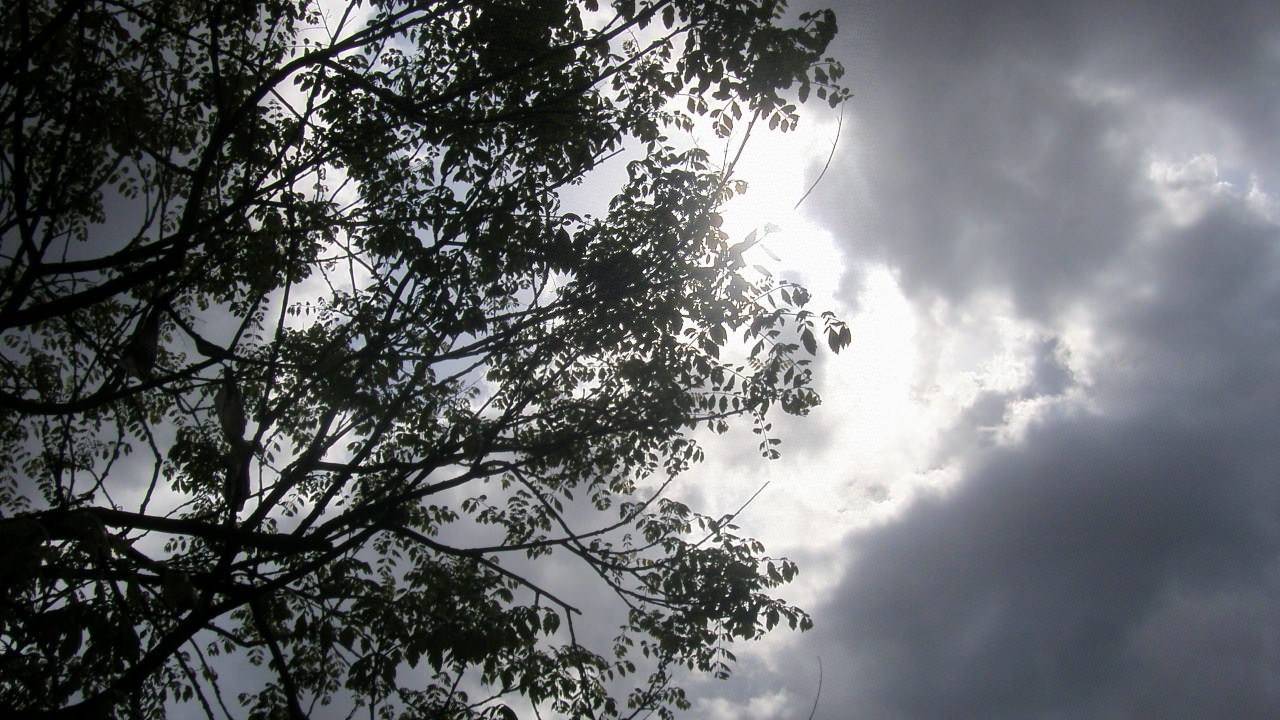 Ciel et Nuages des branches suspendues au soleil