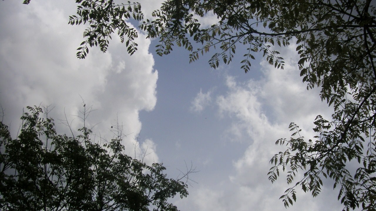 Ciel et Nuages les arbres entourent les nuages