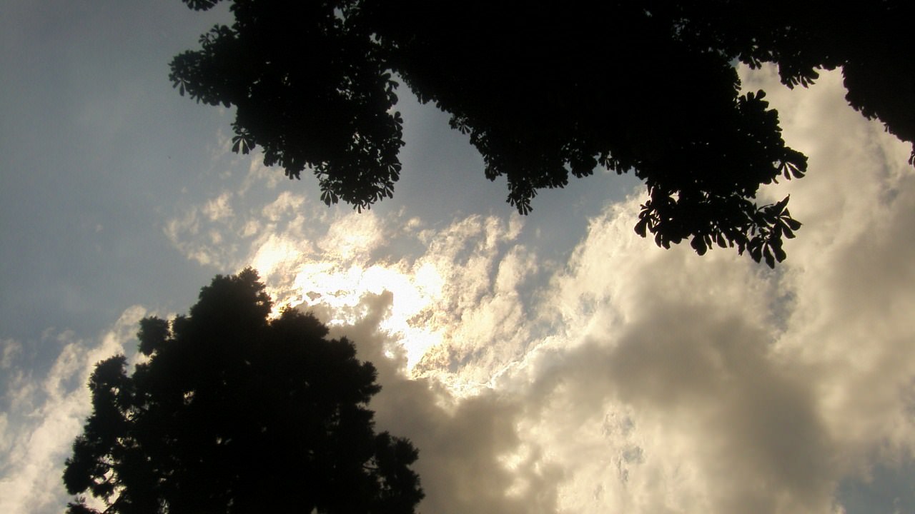 Ciel et Nuages des branches se rapprochent