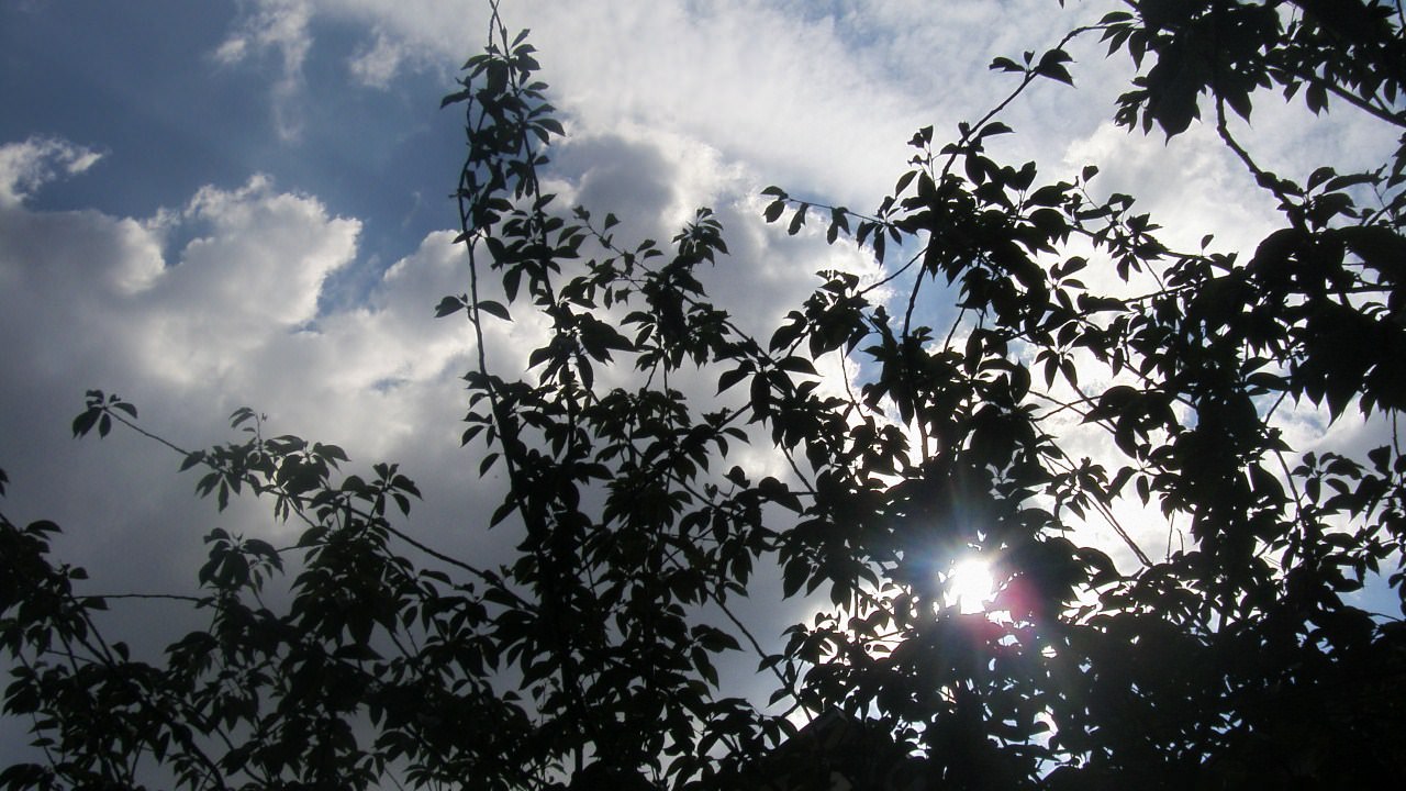 Ciel et Nuages le soleil se joue des arbres