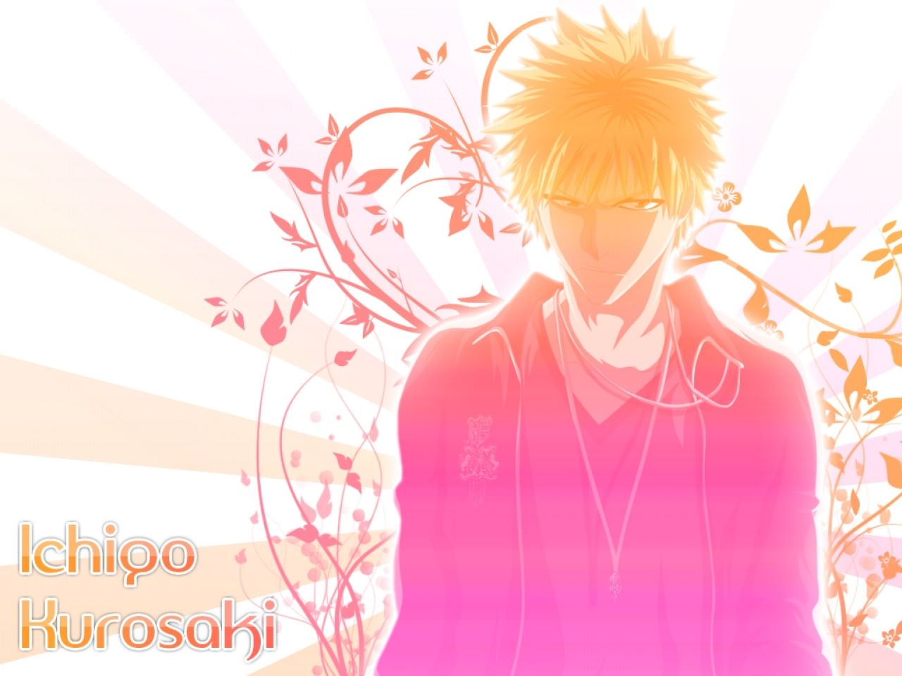 Bleach ichigo kurosaki