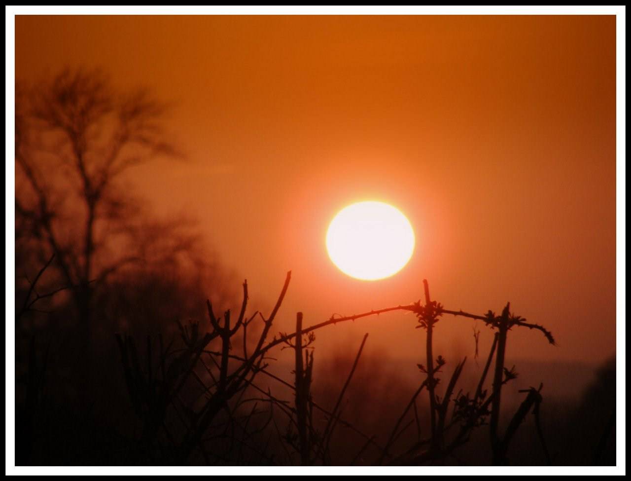 Couchers et levers de Soleil coucher de soleil en campagne 