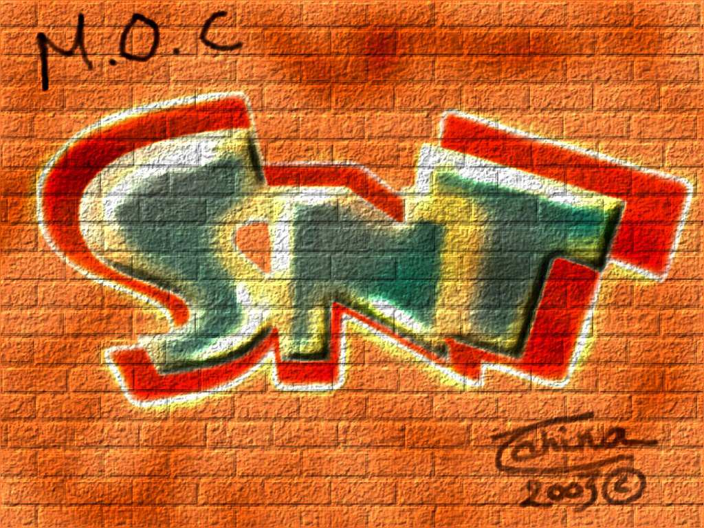 Graffitis et Typographie S.N.T. (rf: F.F.)