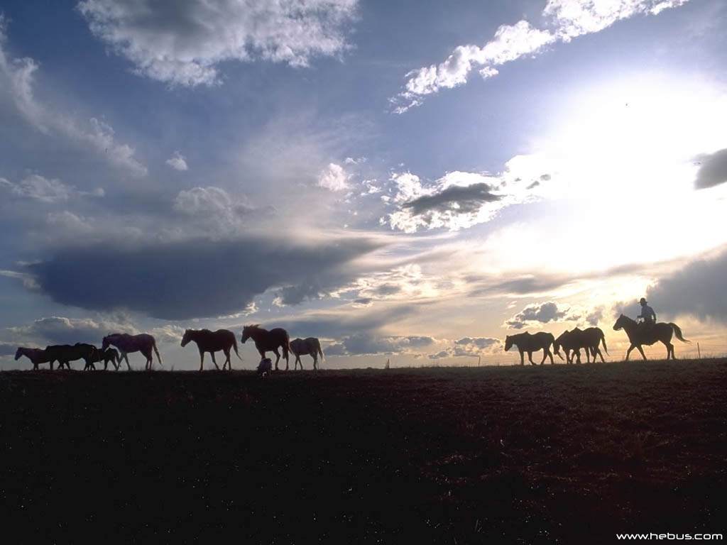 Couchers et levers de Soleil Wallpaper N°39364