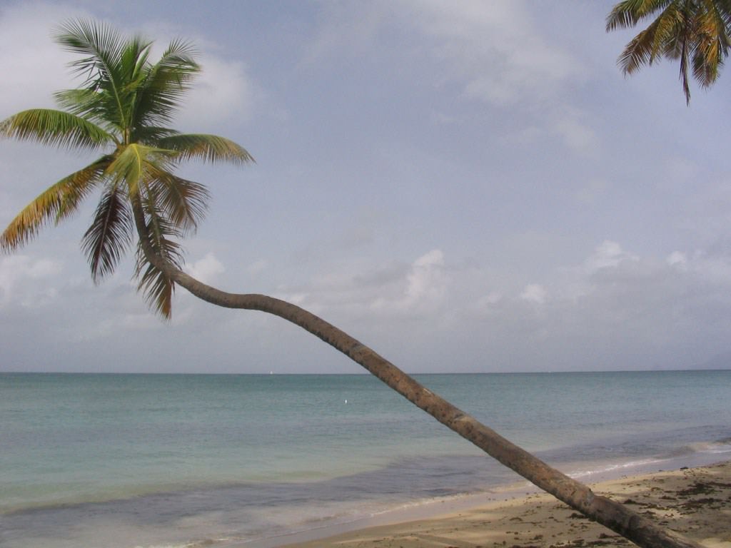 Mers et Oceans Salines of Madinina 972 www.tuxboard.com