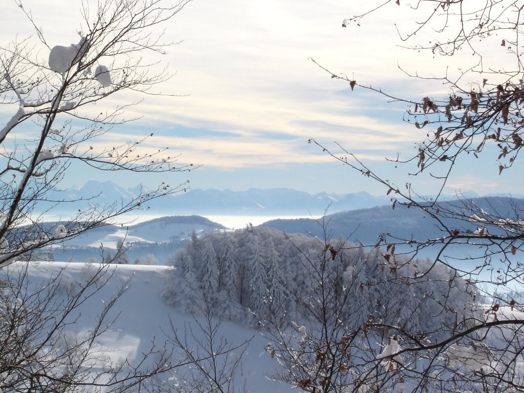 Saison hivernale Jura suisse