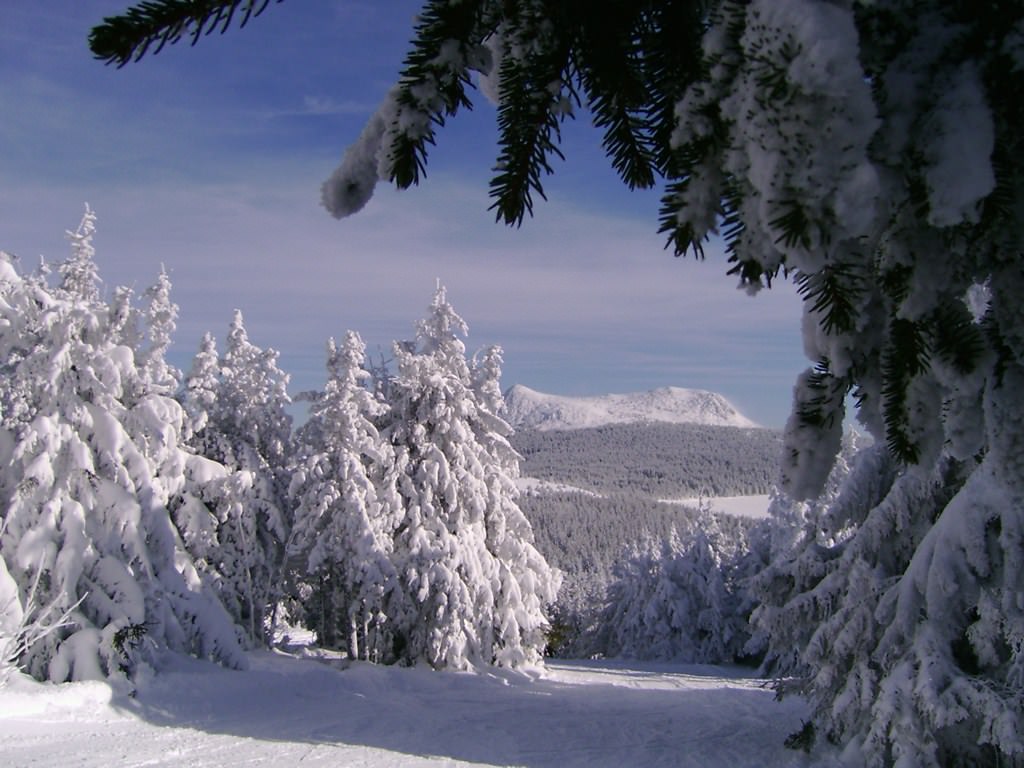 Saison hivernale Le Mezenc enneigé