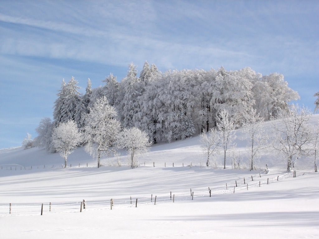 Saison hivernale Jura suisse