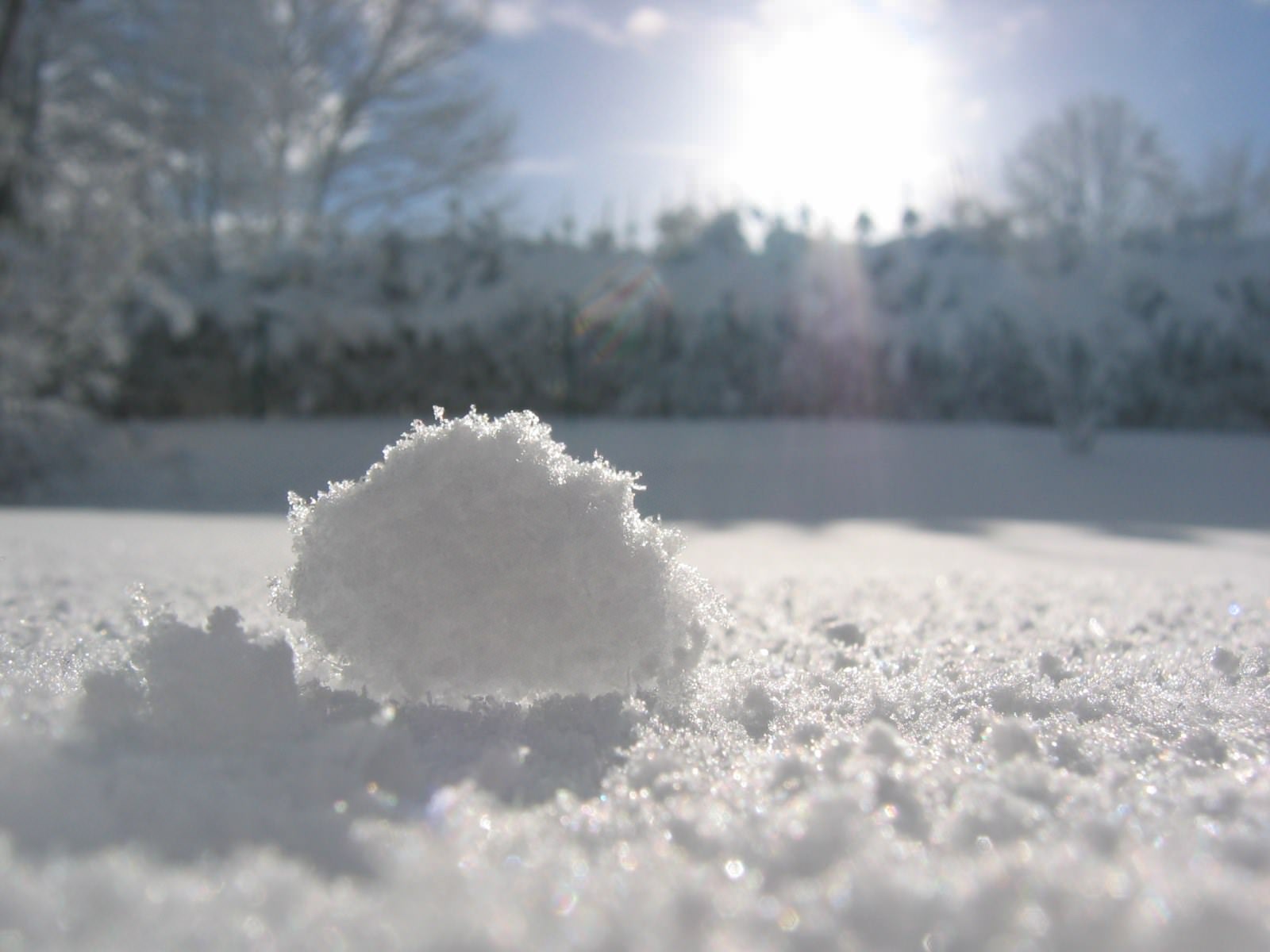 Saison hivernale Boule de coton