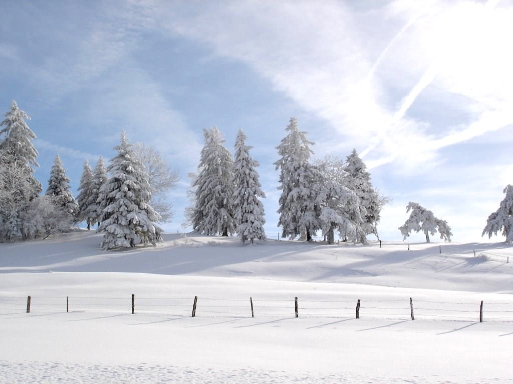 Saison hivernale Wallpaper N°87060