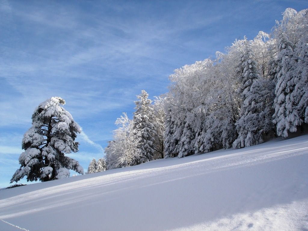 Saison hivernale Wallpaper N°87153