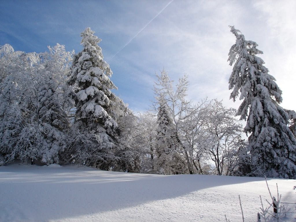 Saison hivernale Wallpaper N°87154