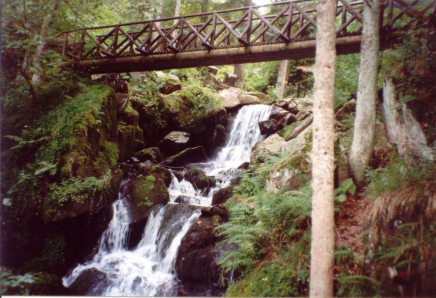 Cascades et Chutes Cascade et pont en bois d'alsace