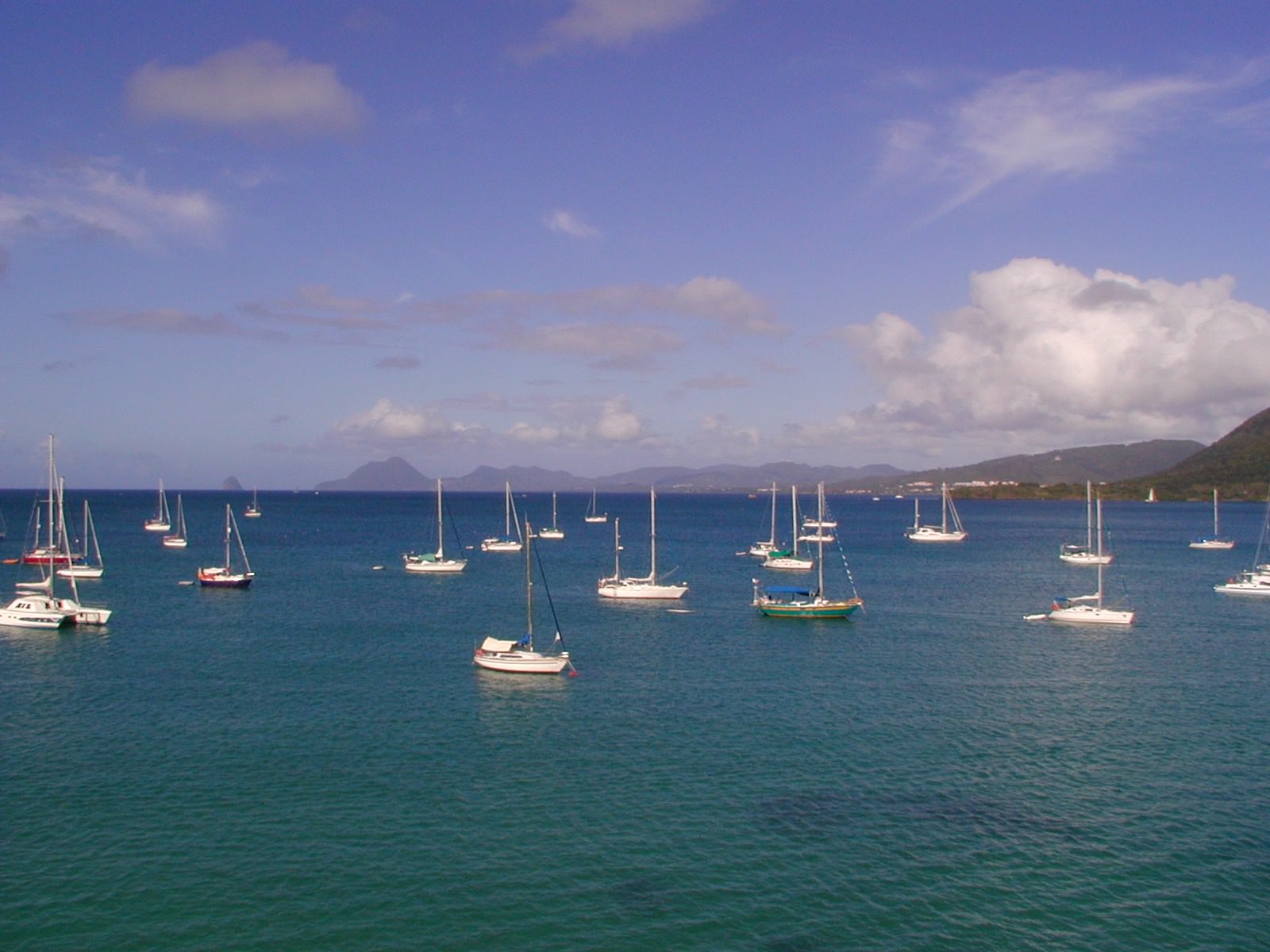 Mers et Oceans martinique