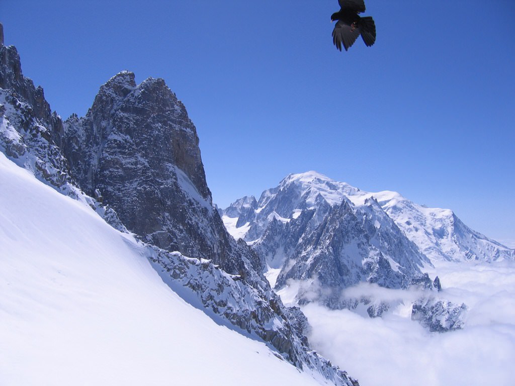 Montagnes Les Grands Montets, Chamonix