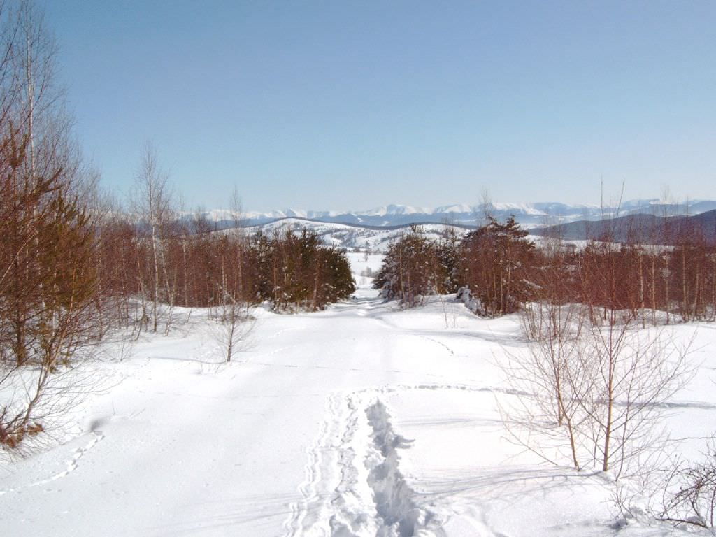 Saison hivernale Garana - Romania