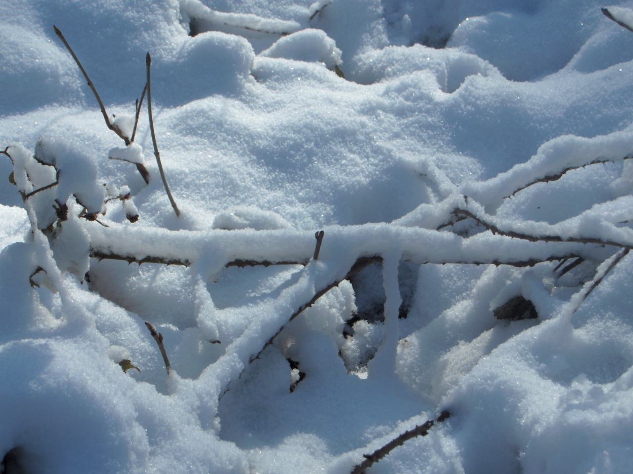 Saison hivernale ça caille !