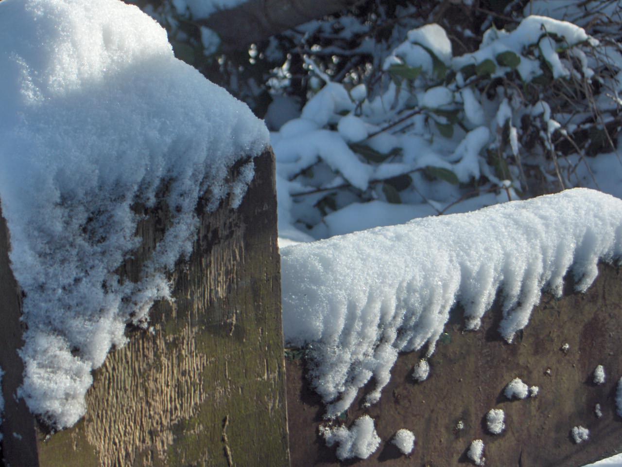 Saison hivernale Barrière sous la neige