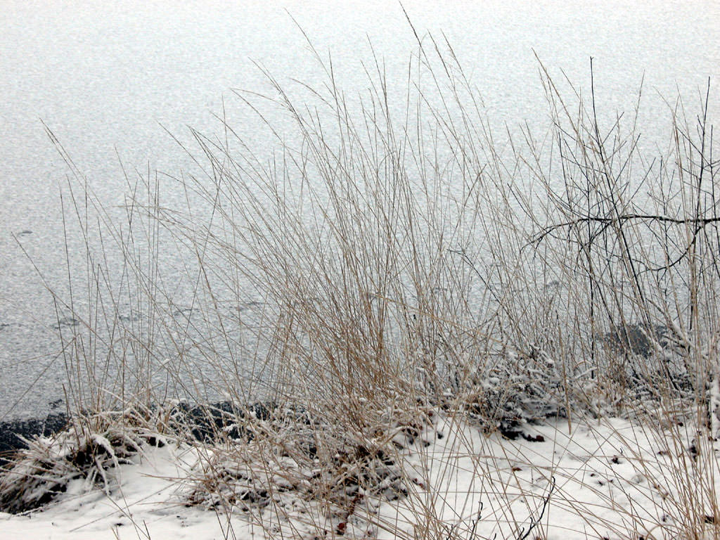 Saison hivernale Désolation