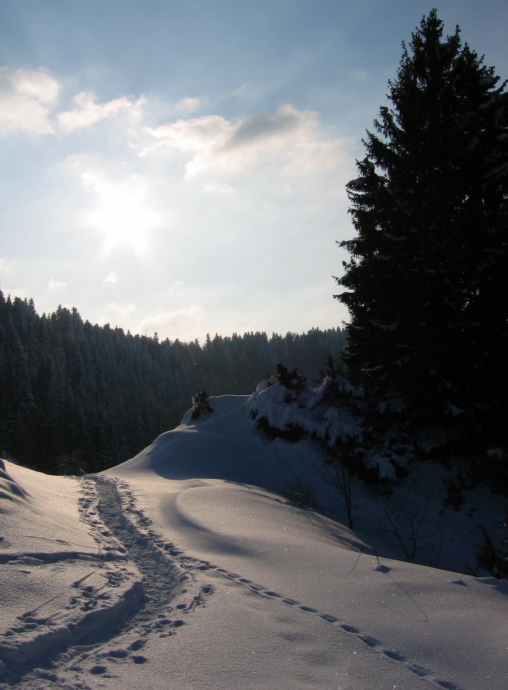 Saison hivernale traces de pas