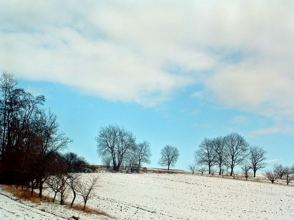 Saison hivernale Un peu de ciel bleu...