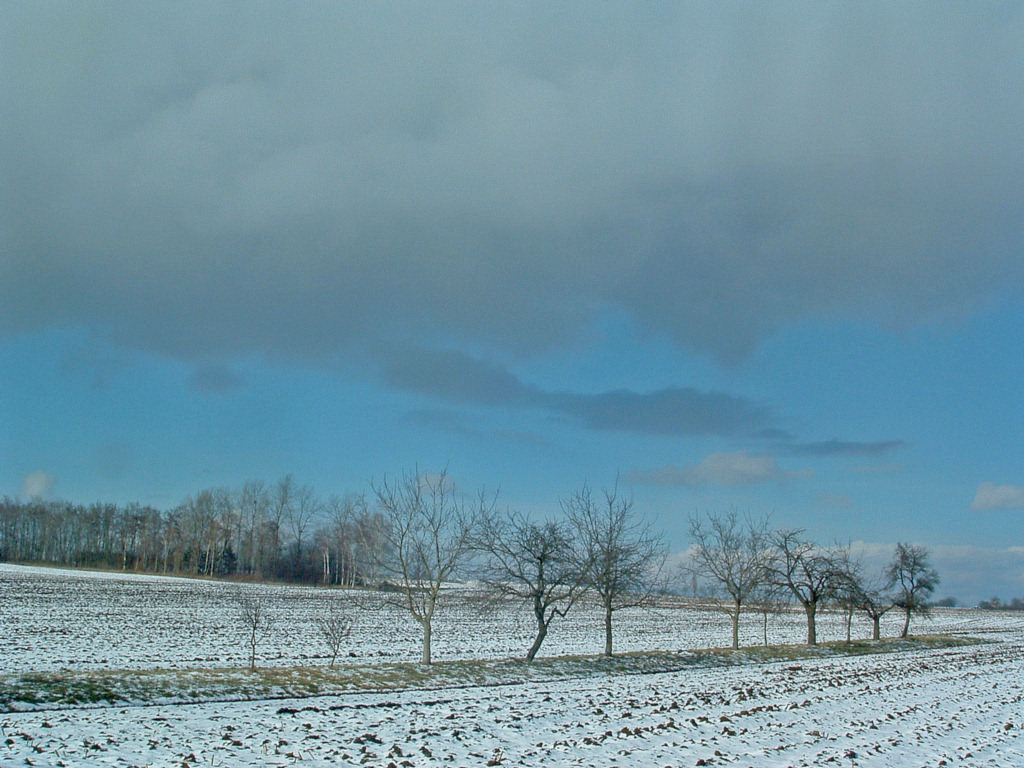 Saison hivernale Difficile percée du soleil...