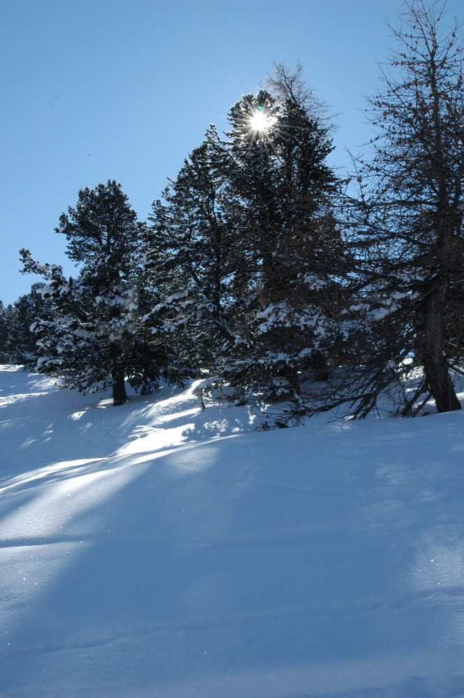 Saison hivernale le monde est beau