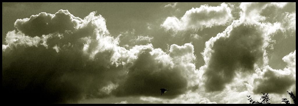 Ciel et Nuages Invité surprise