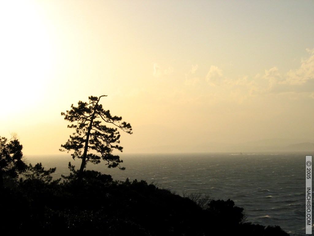 Couchers et levers de Soleil Bonzai grandeur nature