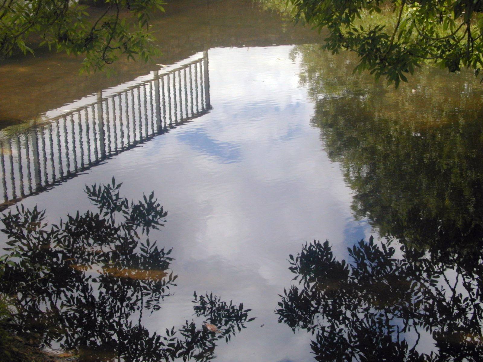 Eau et Reflets Reflets