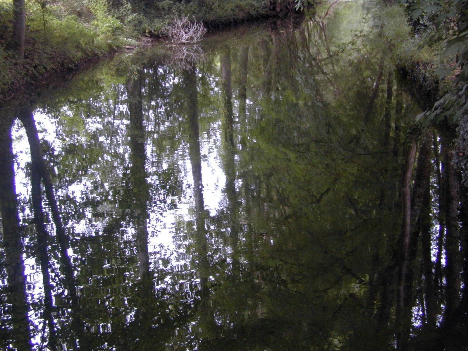 Eau et Reflets Reflets du Fusain