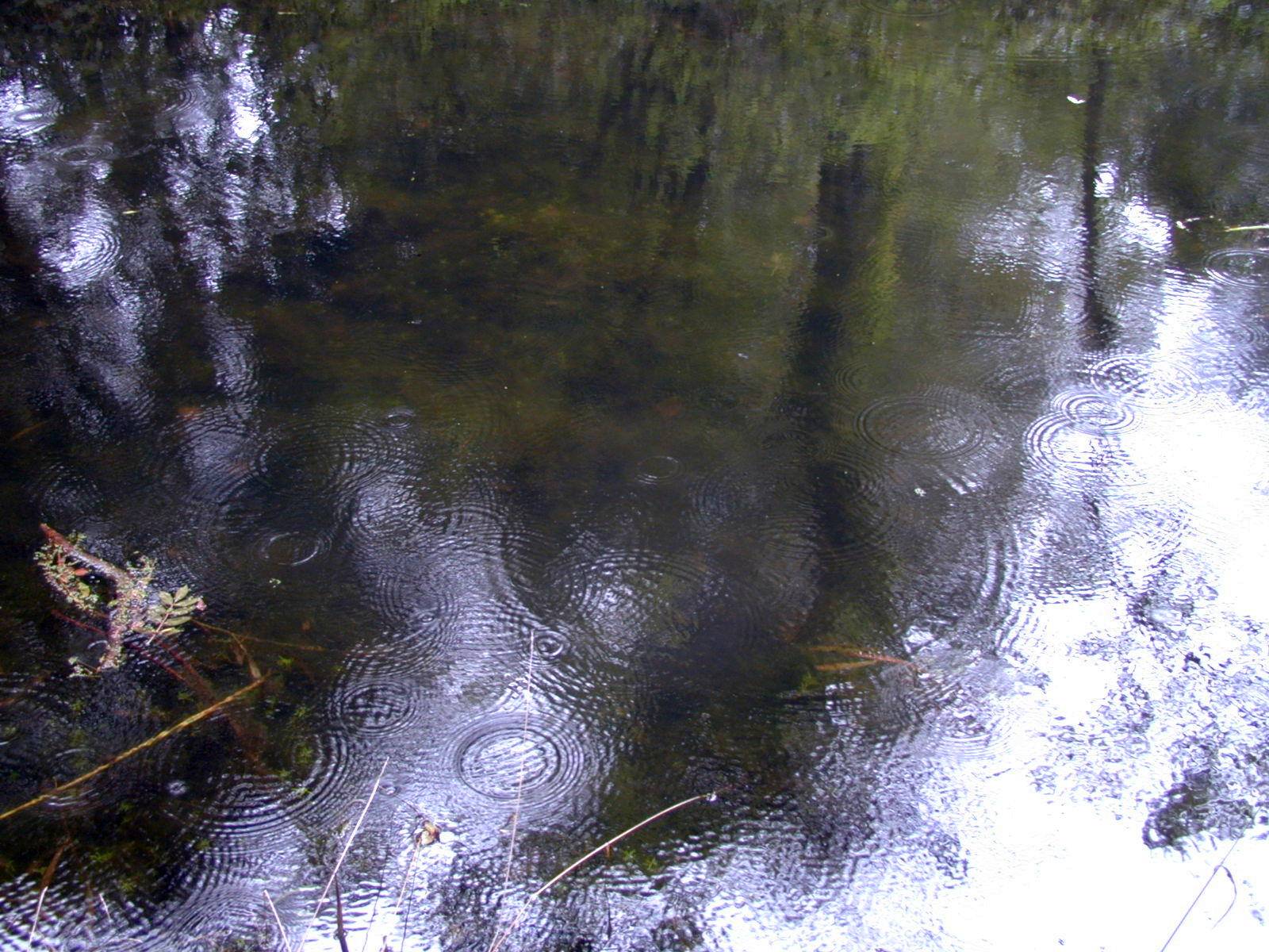 Eau et Reflets Reflets