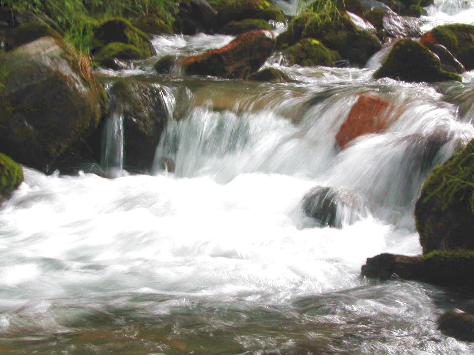 Fleuves et Rivieres torrent des alpes