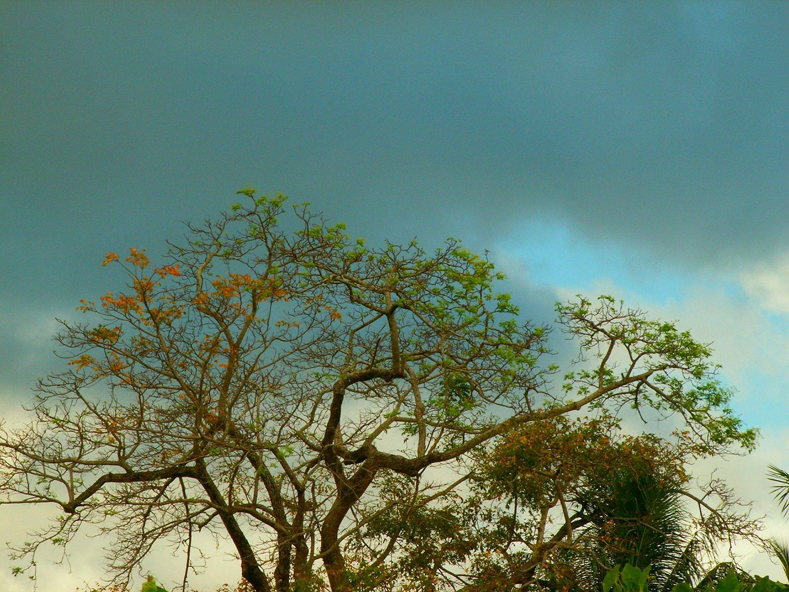 Ciel et Nuages couleurs de Guyane