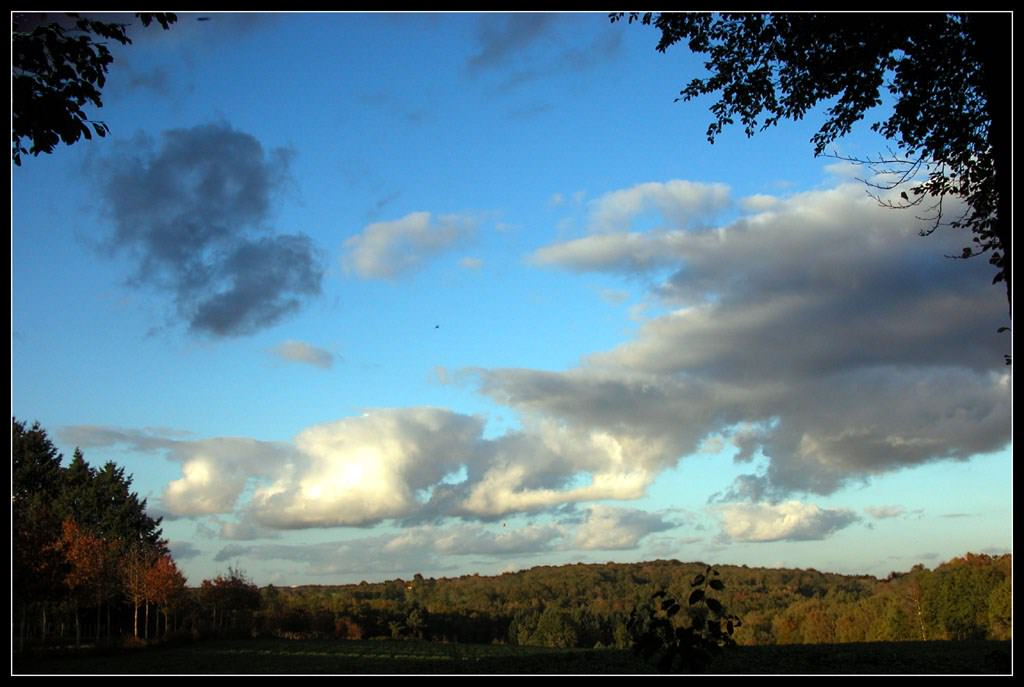 Ciel et Nuages Fin d'après-midi.