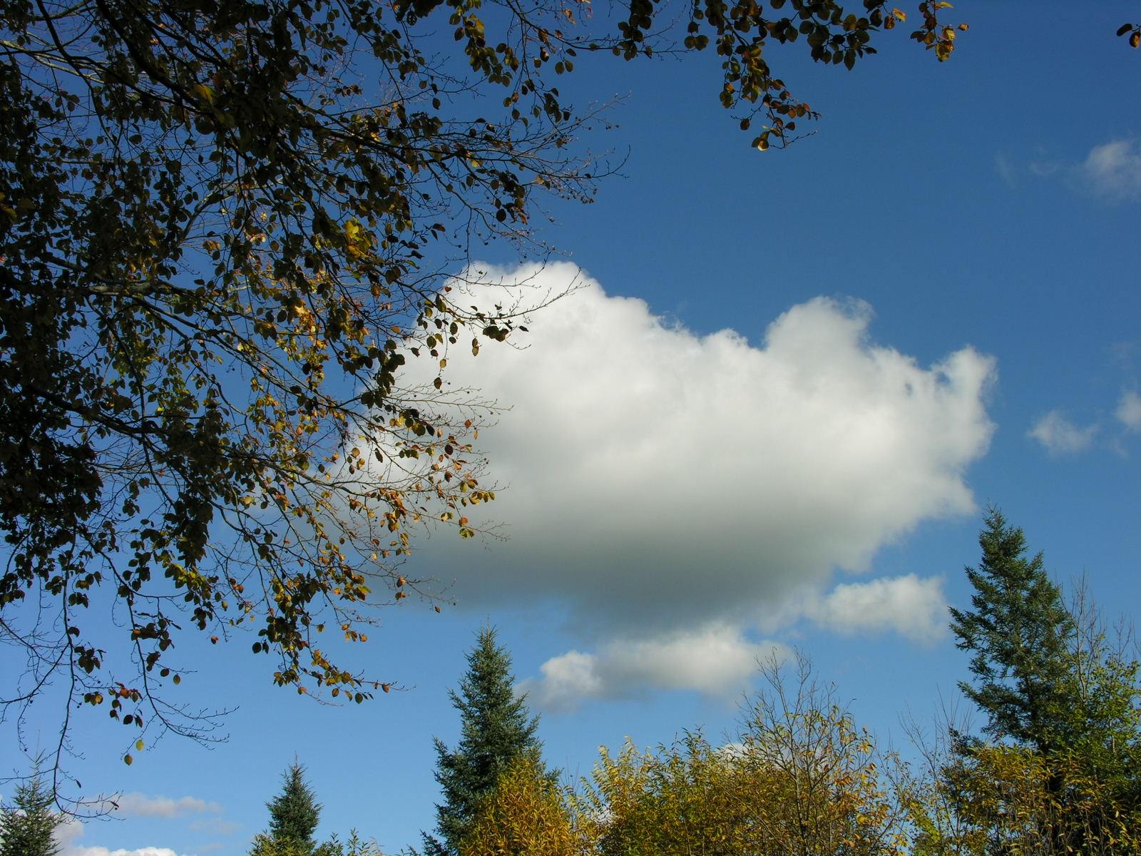 Ciel et Nuages Wallpaper N°124187