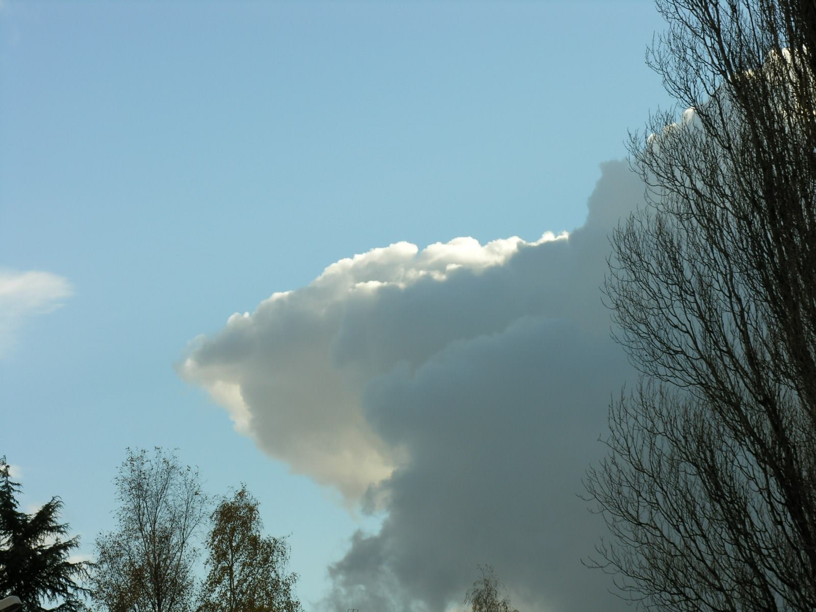 Ciel et Nuages Charmant nuage!