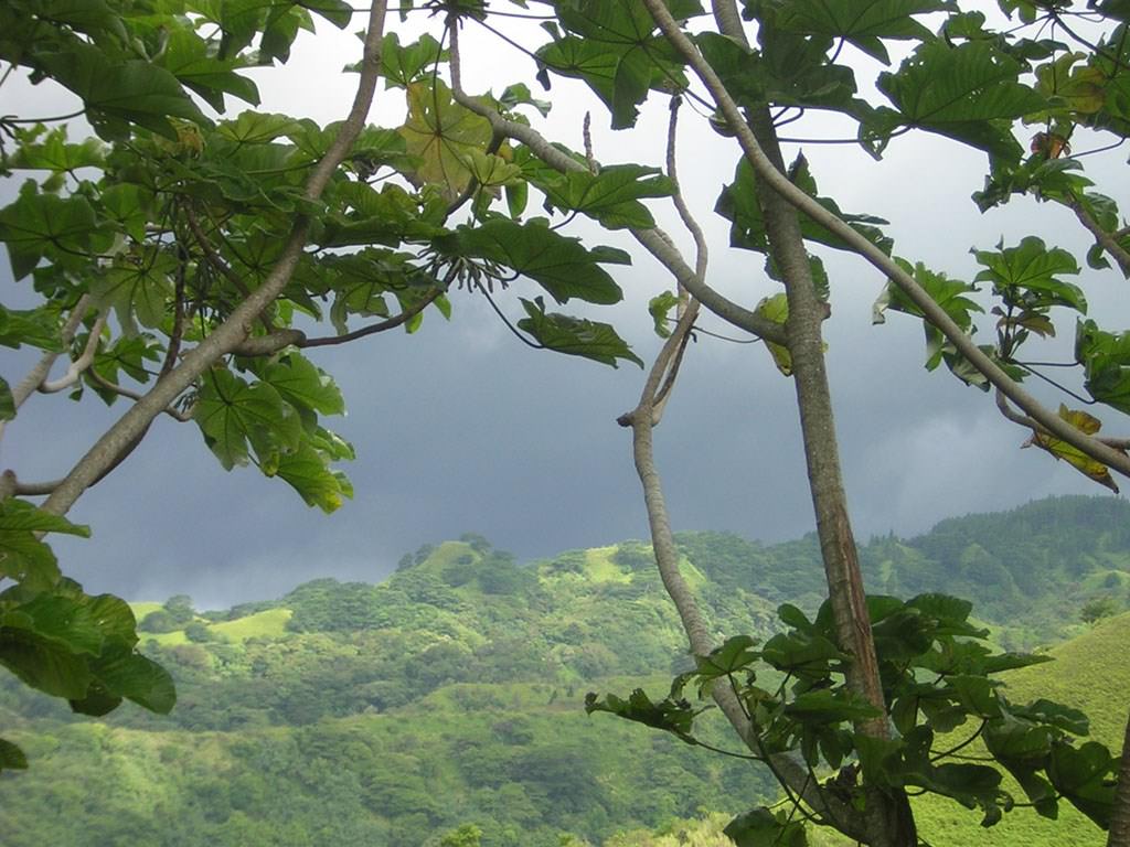 Ciel et Nuages L'orage approche