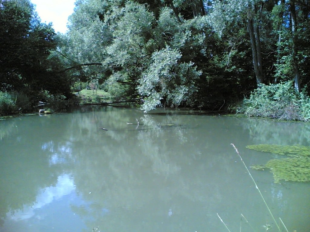 Fleuves et Rivieres rivière en bourgogne