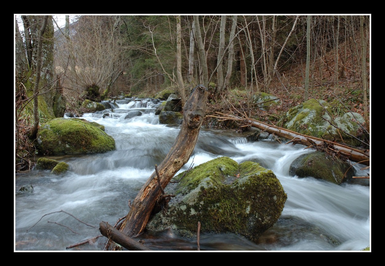 Fleuves et Rivieres Torrent