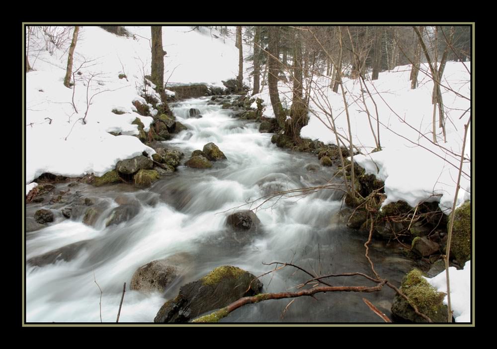 Fleuves et Rivieres Petit torrent du Kolben