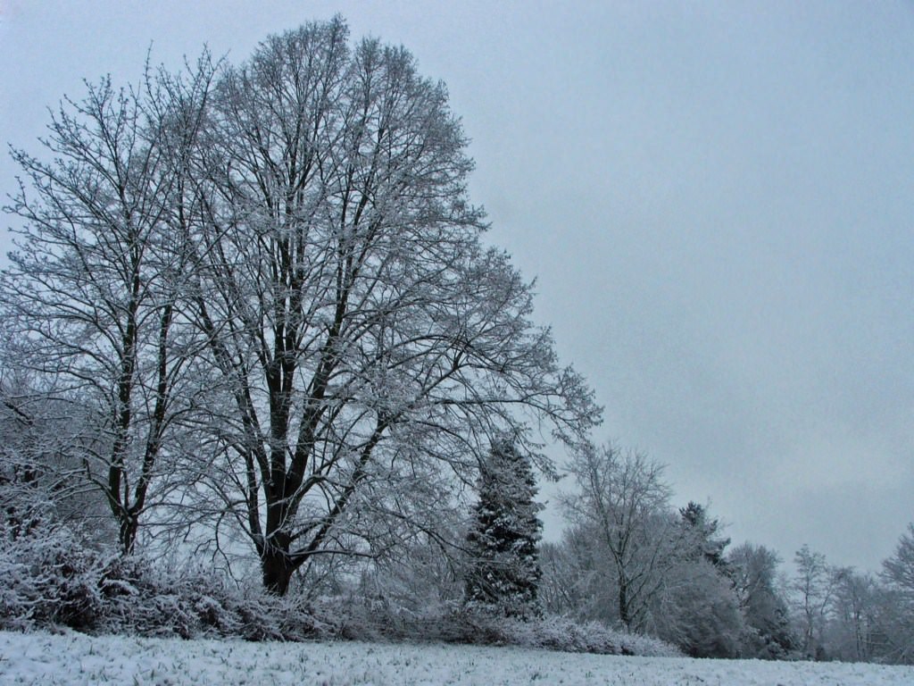 Saison hivernale Saison d'hiver