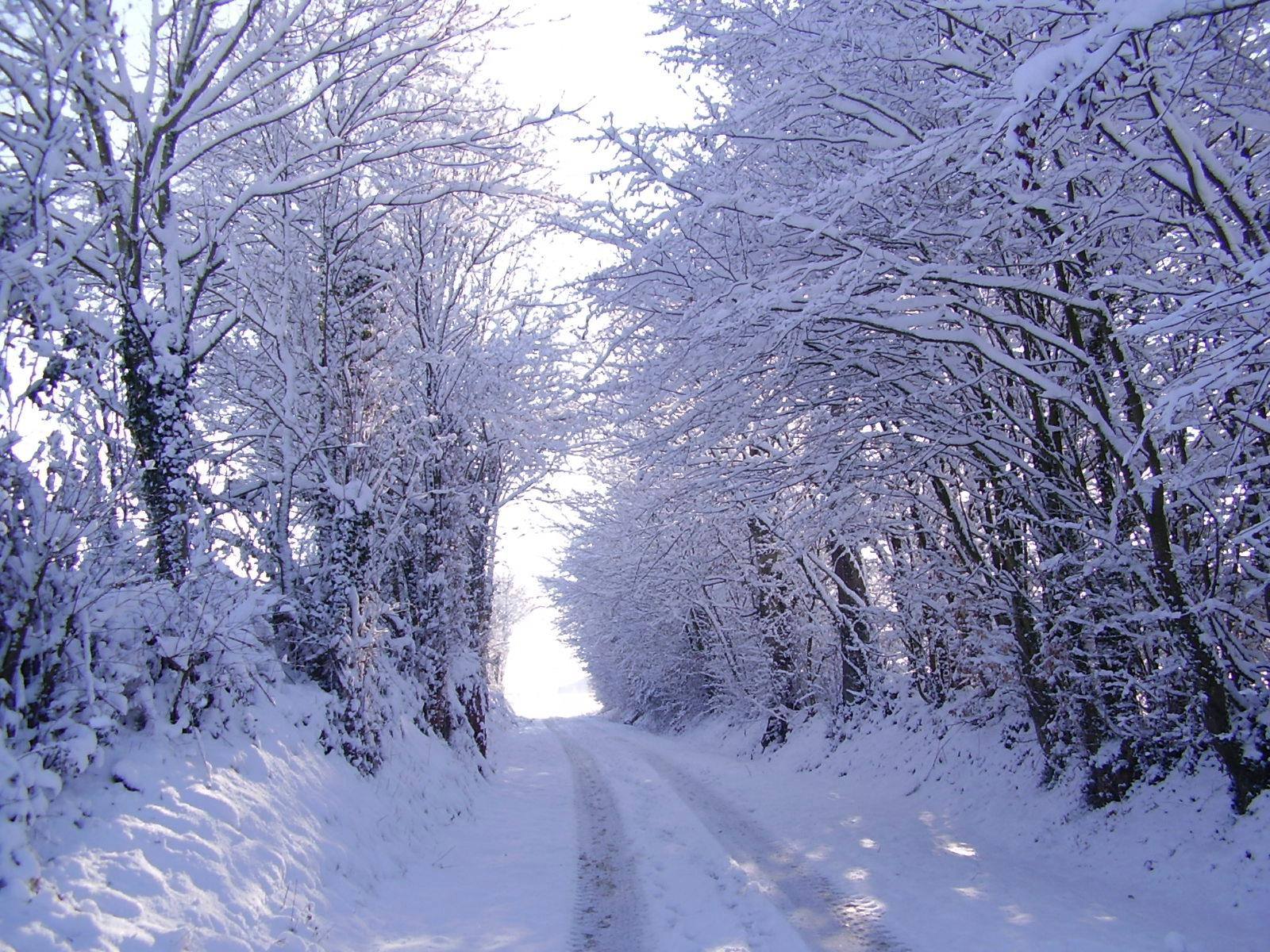 Saison hivernale Petit chemin sous la neige