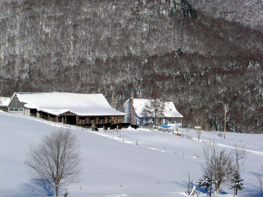 Saison hivernale LE CALME DE LA NATURE